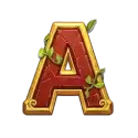 icon 5