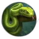 icon 3
