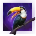 icon 4