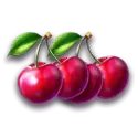 icon 9