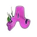 icon 5