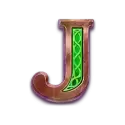 icon 9