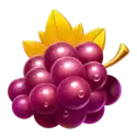 icon 4