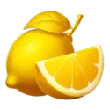 icon 7