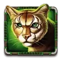 icon 4