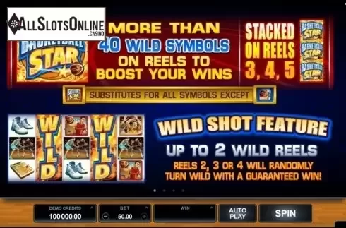 Screen2. Basketball Star from Microgaming
