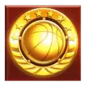 icon 11