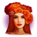 icon 4