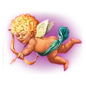 icon 6