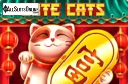 Cute Cats