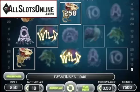 Screen5. Evolution from NetEnt