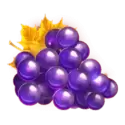 icon 4