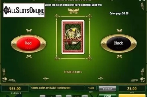 Double Up screen. Jungle Adventure (Tom Horn Gaming) from Tom Horn Gaming