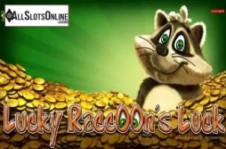 Lucky Racoon'S Luck