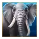 icon 2
