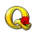 icon 9