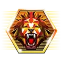icon 2
