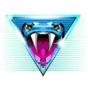 icon 5
