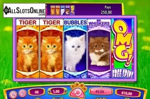 Bonus trigger screen. OMG! Kittens from WMS