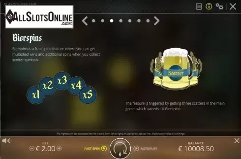 Paytable bearspin. Oktoberfest (Nolimitcity) from Nolimit City