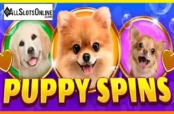 Puppy Spins
