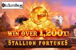 Stallion Fortunes