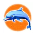 icon 1