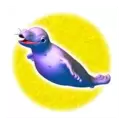 icon 4