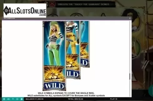 Paytable 7. Wild Jane, the Lady Pirate from Leander Games