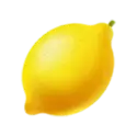 icon 5