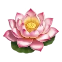 icon 2