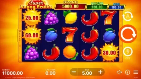 Super Sunny Fruits slot screenshot 1