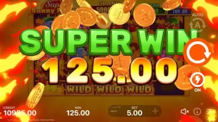 Super Sunny Fruits slot screenshot 3