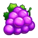 icon 4