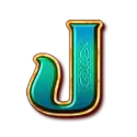 icon 9