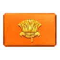 icon 5