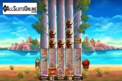 Win Screen 4. Fear the Bear from Playtech