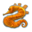 icon 5