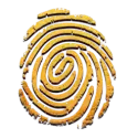 icon 14