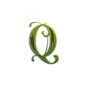 icon 10
