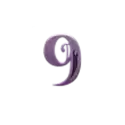 icon 13