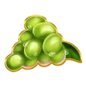 icon 6
