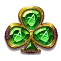 icon 9