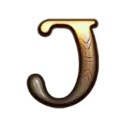 icon 9