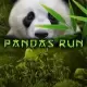 Pandas Run