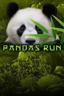 Pandas Run