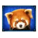 icon 4