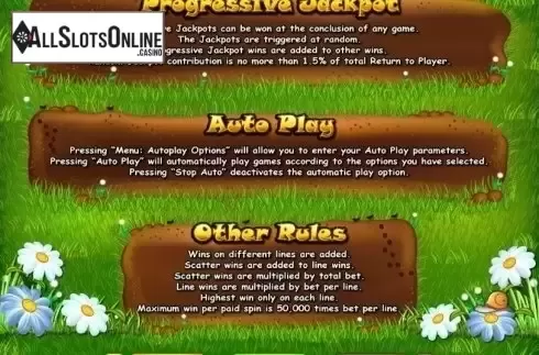 Rules. Small Fortune from RTG