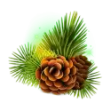 icon 6