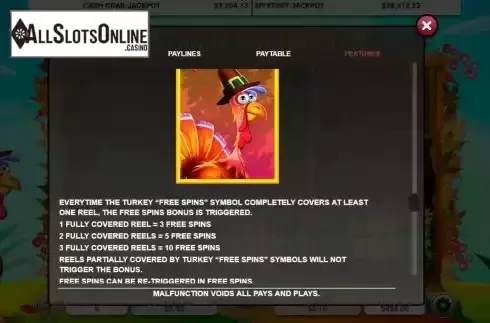 FS feature screen